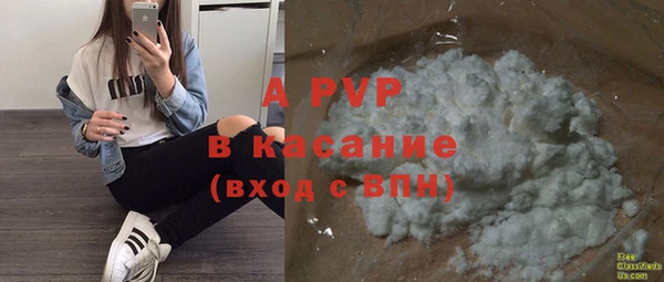 гашик Арсеньев