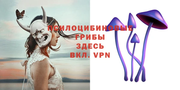 гашик Арсеньев