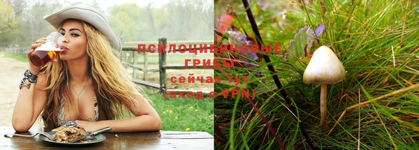 гашик Арсеньев