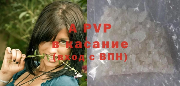 гашик Арсеньев